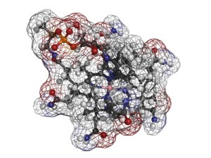 Vitamin B12 (Cyanocobalamin) molecule
