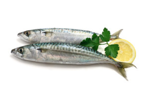 Fisch VitaminB12