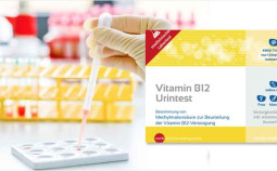 Vitamin B12 Mangel Test