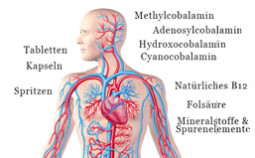 Vitamin 12 Mangel Therapie