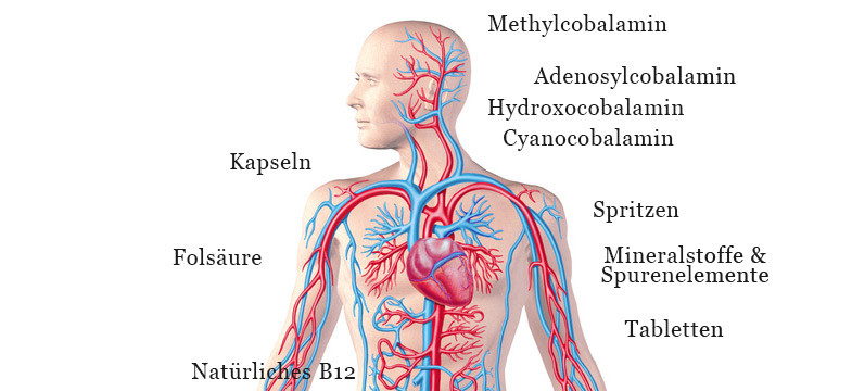 Vitamin-B12-Mangel – Therapie und Behandlung