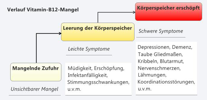 B12 mangel symptome verlauf