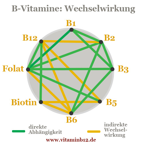 b vitamine interaktion wechselwirkungen