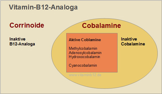 Vitamin B12 Analoga