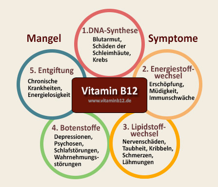 b12-mangel-symptome-circles
