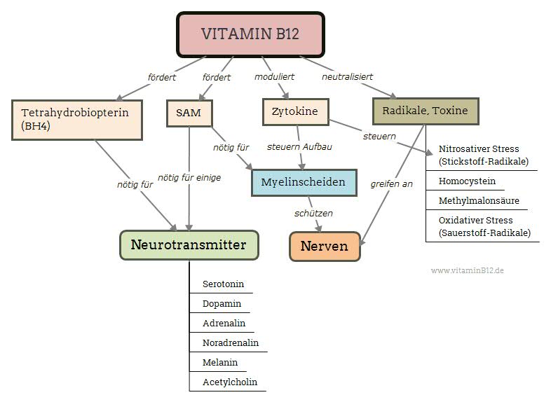 Vitamin B12 und Psyche